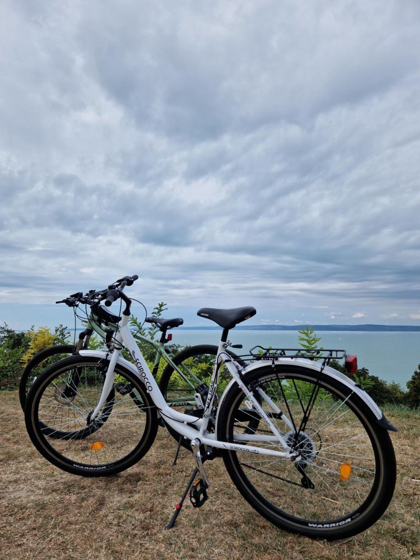 Panoramic * Balatonvilágos