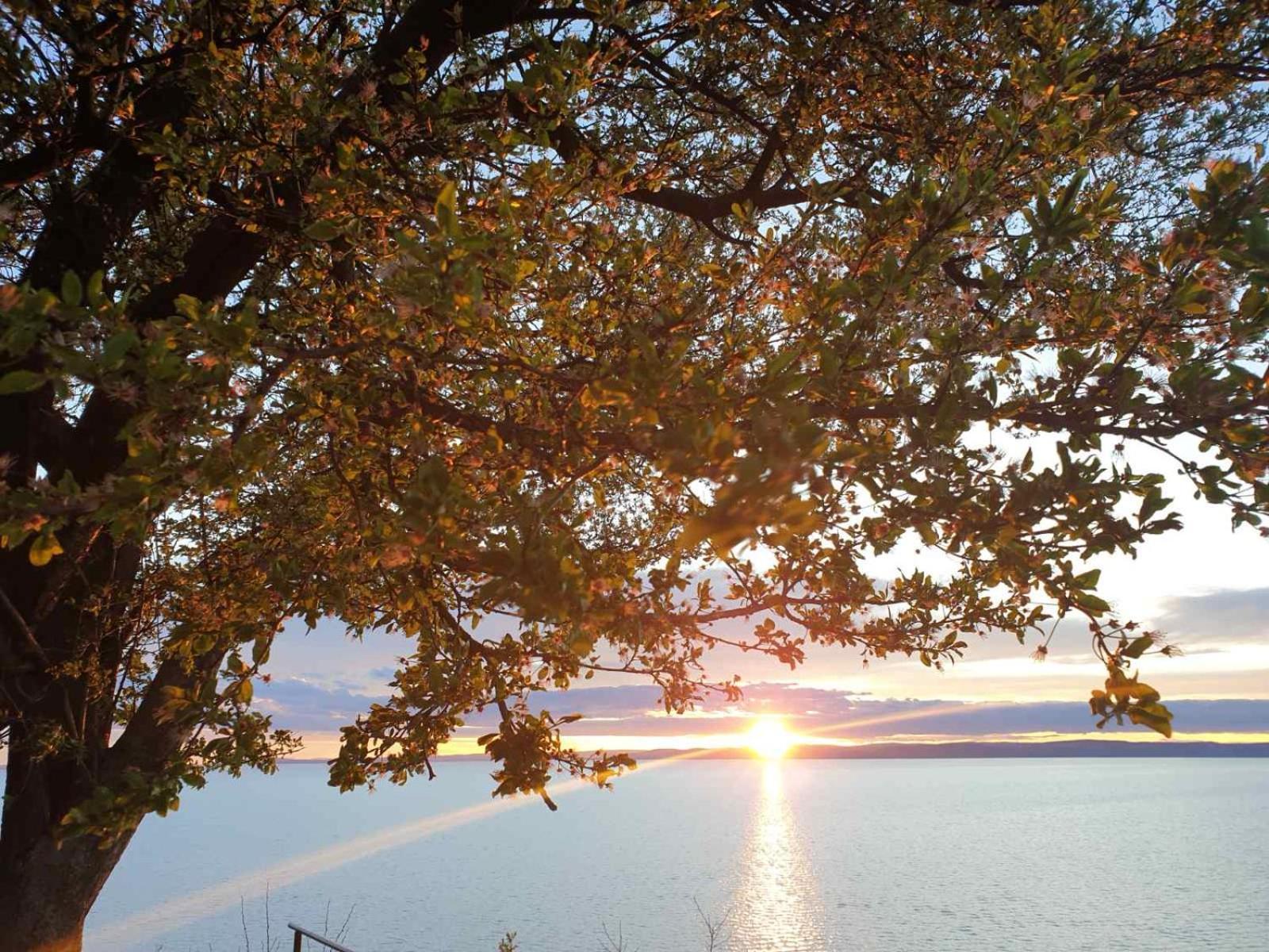 Panoramic Balatonvilágos